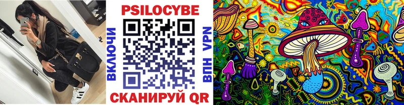 Псилоцибиновые грибы мицелий  где можно купить наркотик  Советск 