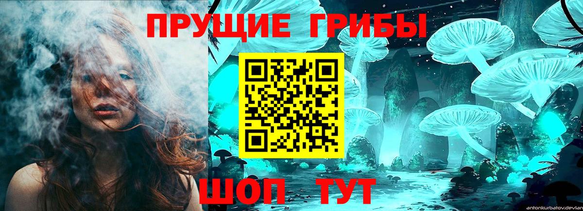Псилоцибиновые грибы Psilocybe Советск